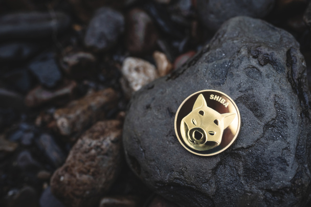 Shiba Inu mince venkovní s kopírovacím prostorem - Fotografie, Obrázek