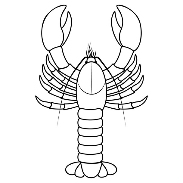 Lobster, black outline line vector illustration on white background. - Vector, Image
