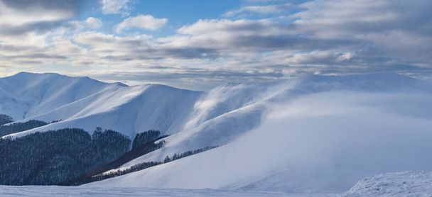 Beautiful winter in the Carpathian mountains, Ukraine - Photo, image