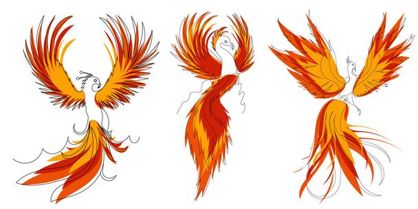 phoenix bird, dessin de ligne, croquis - Vecteur, image