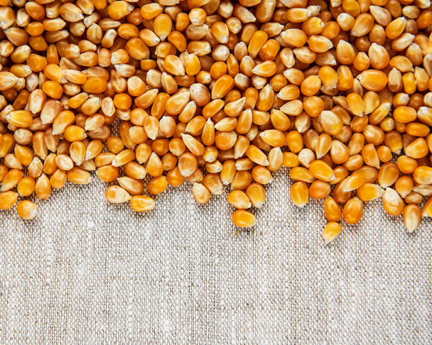 Dry Corn seeds on a old textile background - Photo, Image