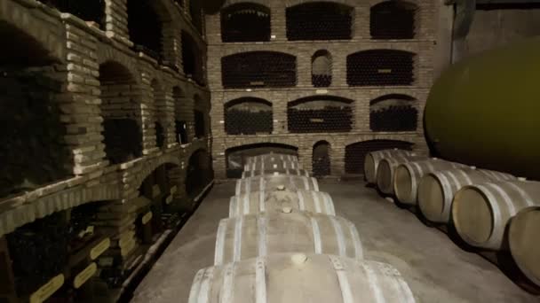 Fila de barricas de vino en bodega - Metraje, vídeo