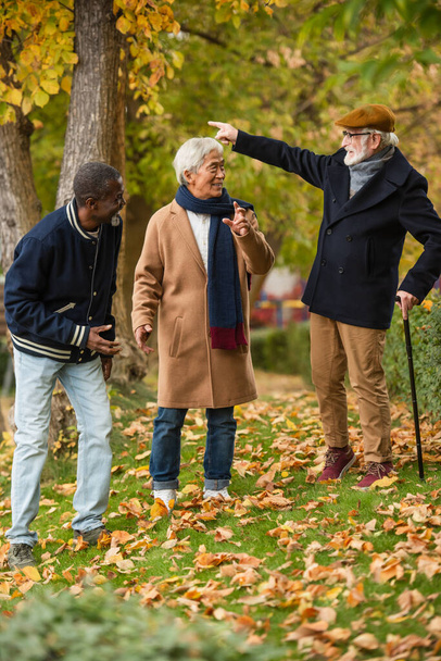 Positive multiethnic senior men gesturing in autumn park  - Фото, изображение