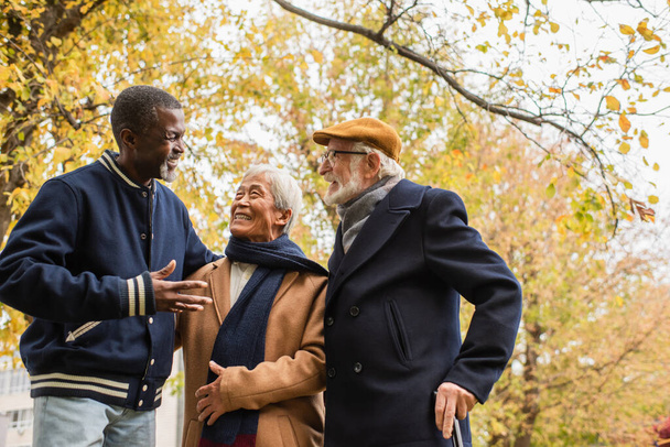 Niski kąt widzenia wieloetnicznych seniorów mówiących w jesiennym parku  - Zdjęcie, obraz