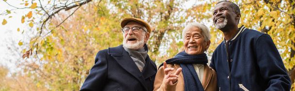 Low angle view of grey haired asian man pointing with finger near multiethnic friends in autumn park, banner  - Foto, imagen