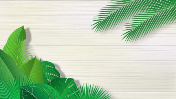 Видеоматериал из листьев тропических растений и белых стен  - Кадры, видео