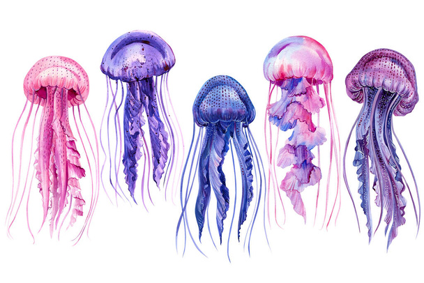 Akvarel medúzy sada, izolované na bílém pozadí pod vodou - Fotografie, Obrázek