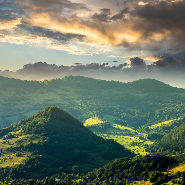 bosque de coníferas en una ladera de montaña al amanecer
 - Foto, imagen