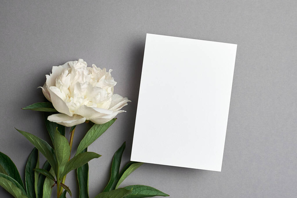 Greeting card mockup with copy space and white peony flowers on grey background - Fotoğraf, Görsel
