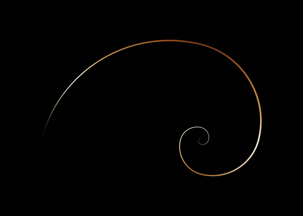 Gouden verhouding. Fibonacci spiraal, gouden doorsnede, goddelijke proportie, Goud Nautilus Shell Weergave Spiraal, vectorillustratie geïsoleerd op zwarte achtergrond - Vector, afbeelding
