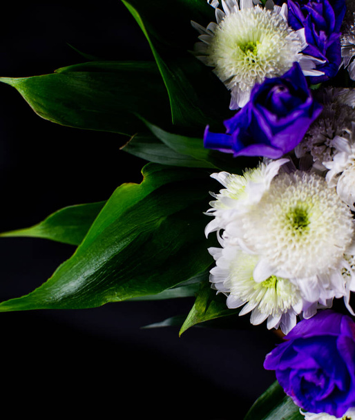 Eustoma flowers on a black background. White and purple eustoma flowers on a black background. - Φωτογραφία, εικόνα