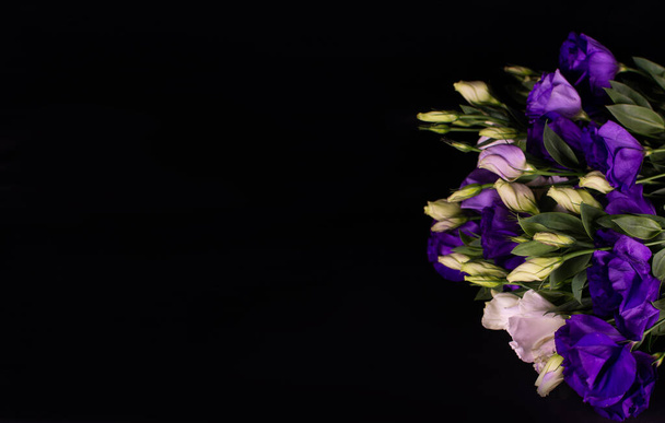 Eustoma flores em um fundo preto. Flores de eustoma branco e roxo em um fundo preto. - Foto, Imagem