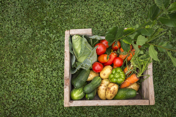Ekologická zelenina v dřevěné krabici - Fotografie, Obrázek