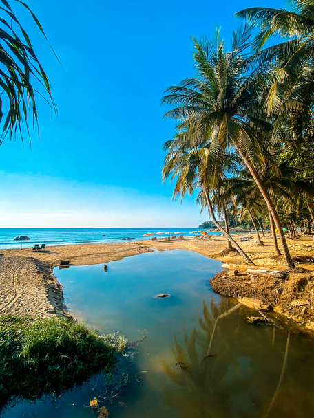 Повітряний вид на пляж Сурин у провінції Пхукет (Таїланд). - Фото, зображення