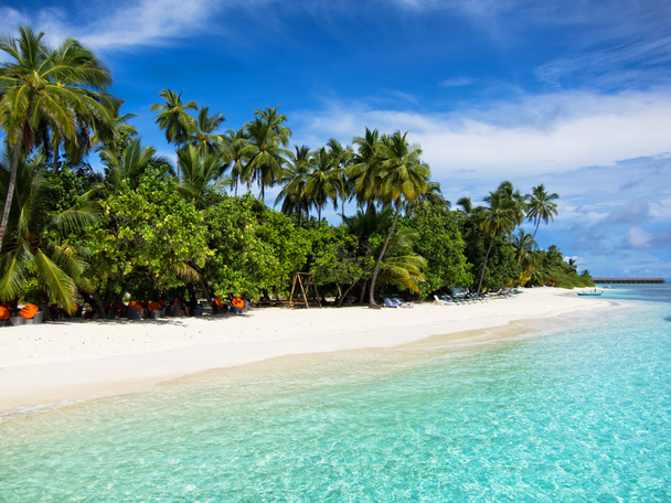 Maledivy - Fotografie, Obrázek