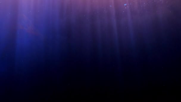 Blauwe en oranje inkt acrylverf mengen in water, draaien zacht onderwater - Video
