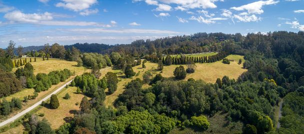 Aerial panorama of Rj Hamer Arboretum in Melbourne, Australia - Photo, Image