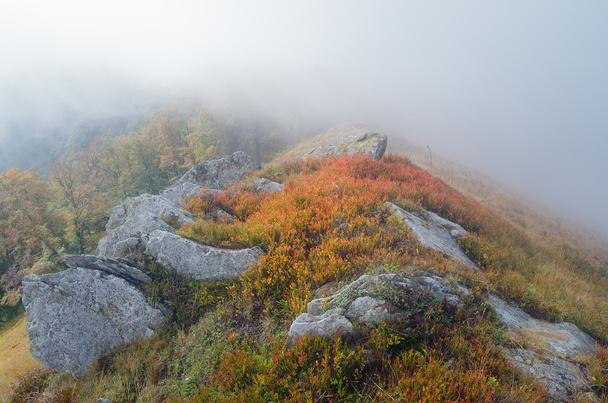 jesień w górach  - Zdjęcie, obraz
