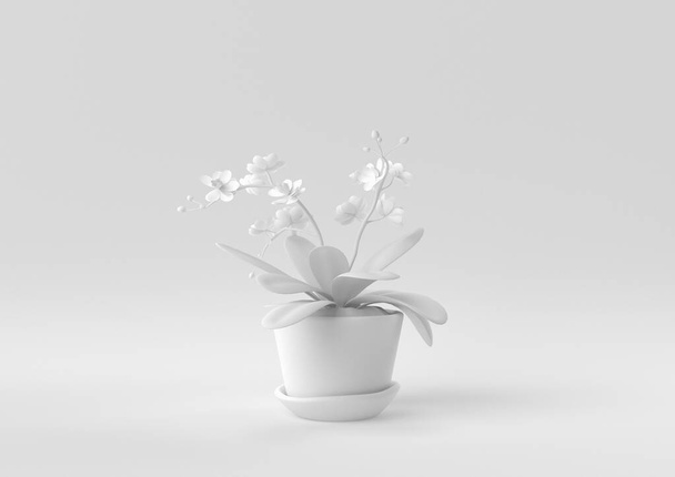 White Tree pot in white background. minimal concept idea creative. monochrome. 3D render. - Photo, Image
