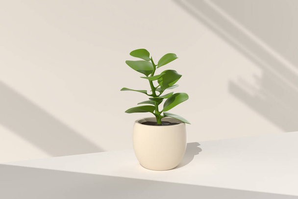 Tree pot in white background. minimal concept idea creative. 3D render. - Fotó, kép