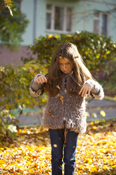 Young beautiful little girl with yellow leaves in autumn park - Foto, afbeelding