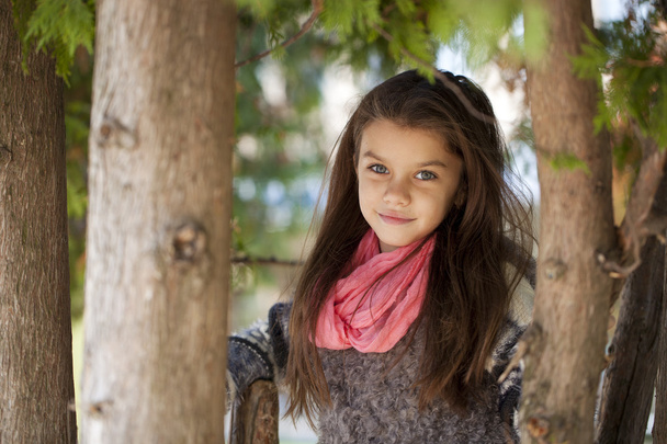 Beautifal little girl in the autumn park  - Foto, Imagen