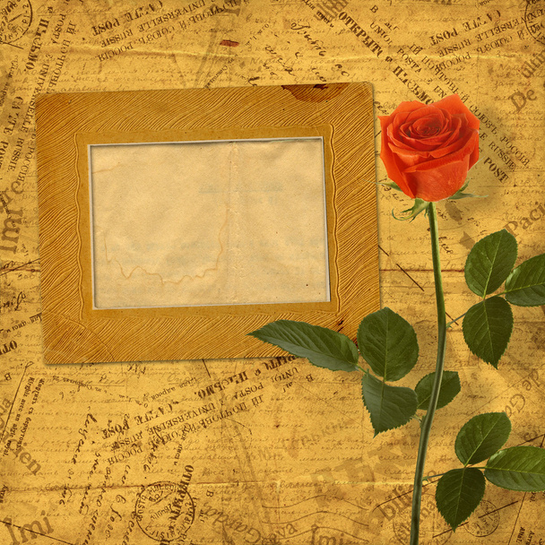 Vintage aged background, with old Postcard, envelopes, frames an - Foto, immagini