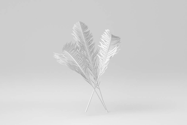 Hojas de palma tropical sobre fondo blanco. Concepto mínimo de papel. Renderizado 3D. - Foto, imagen