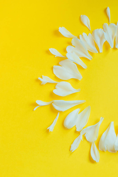 Petali di fiori bianchi su sfondo giallo. Design creativo per biglietto di auguri per San Valentino, festa della mamma. Concetto primavera e sole. Copia spazio, foto verticale - Foto, immagini