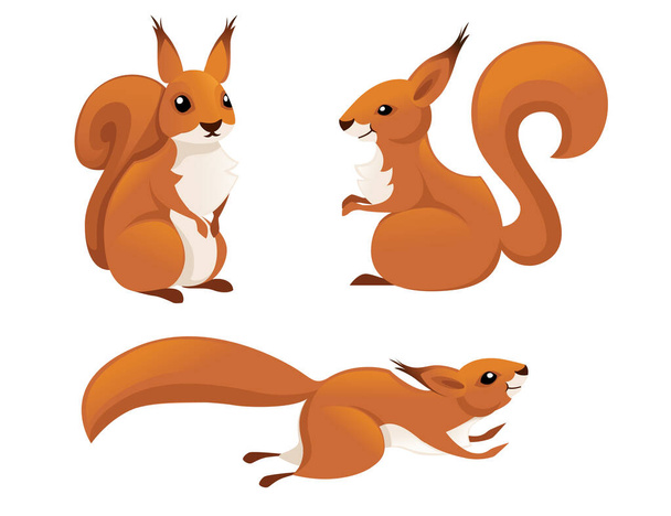 Cute little squirrel jumping down. Side view. Cartoon animal character design. Flat vector illustration isolated on white background. - Vector, Image