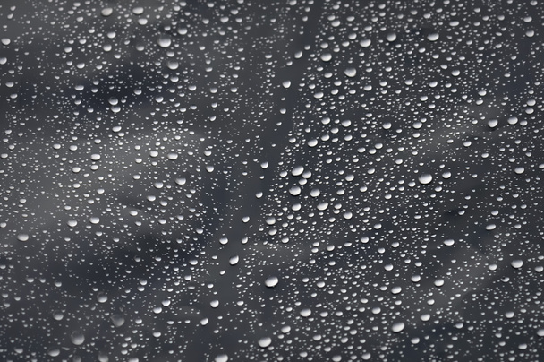 дощ на пластикові
 - Фото, зображення