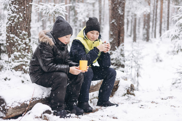 Šťastní teenageři popíjejí čaj z termosky a mluví spolu na kládě v zimním zasněženém lese. Horký nápoj v chladném počasí. Děti mají piknik v zimním období venku. Místní cestování. - Fotografie, Obrázek