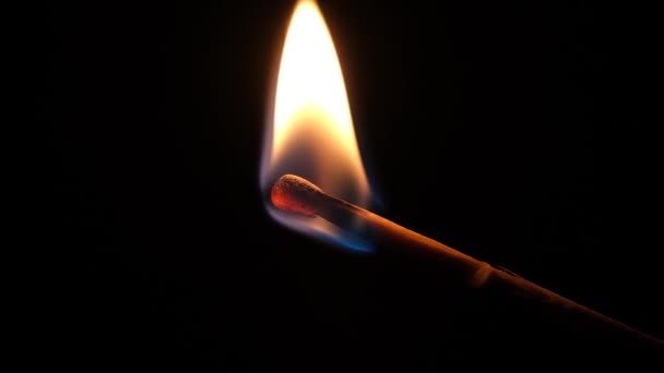 Burning match close up. Full HD slow motion video of burning match isolated on black background - Filmmaterial, Video