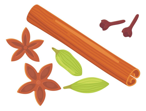 Ένα σύνολο από διάφορα μπαχαρικά βότανα και καρυκεύματα Κανέλα ραβδί γαρύφαλλο αστέρι γλυκάνισο και κάρδαμο - Διάνυσμα, εικόνα