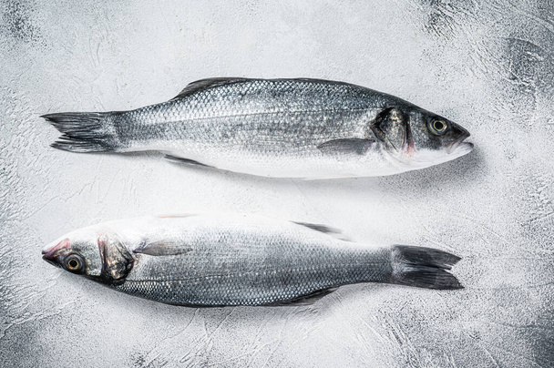 Fresh raw seabass fish on kitchen table. White background. Top view - Photo, image