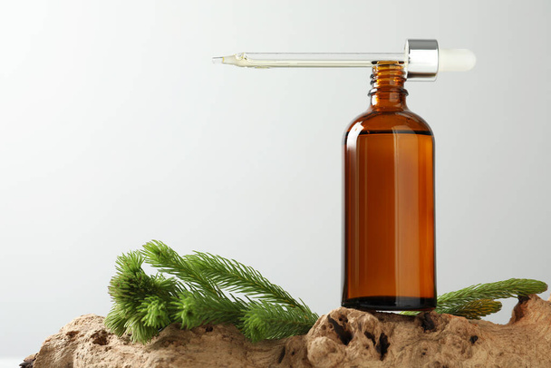 Bottle of hydrophilic oil and fir twigs on white background, space for text - Fotó, kép
