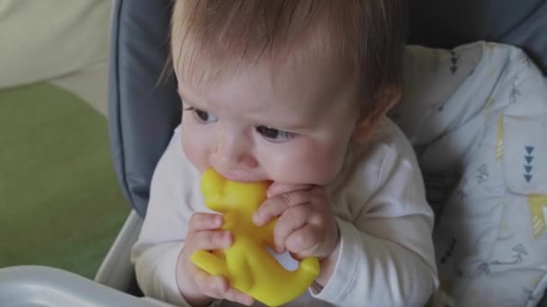 Baby sitting at childrens table putting rubber toy in his mouth while waiting to be fed. Baby care. Healthy lifestyle. - Footage, Video