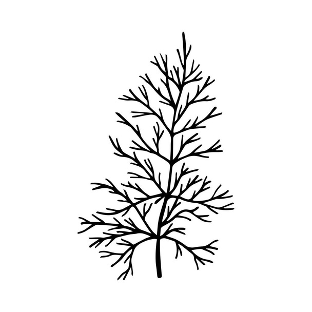 vector illustration of a tree branch. - Vetor, Imagem