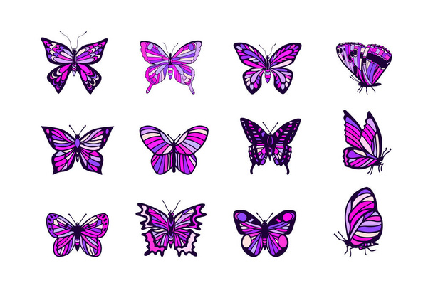 set of colorful butterflies isolated on white background - Vector, imagen