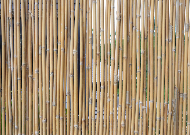 mur de bambou texture fond - Photo, image