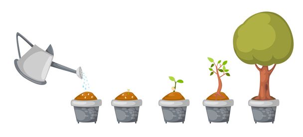 watering can with tree life cycle vector - Vector, Image