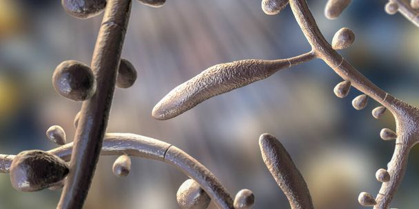 Hongo Trichophyton rubrum, ilustración 3D que muestra macroconidios, microconidios e hifas septas. Infecta la piel y las uñas que causan dermatofitosis, especialmente en los pies (tinea pedis), y onicomicosis - Foto, Imagen