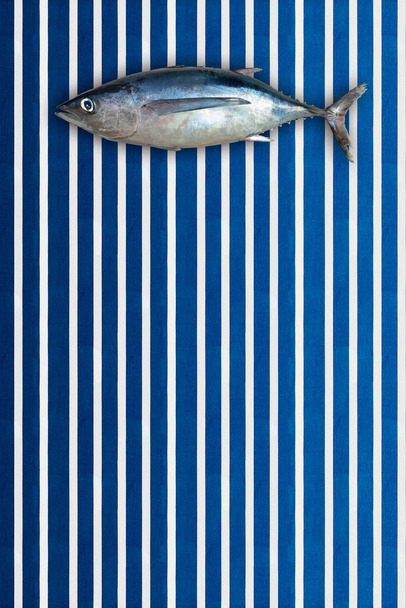 Pescado entero crudo, albacora septentrional (Thunnus alalalunga) de mar cantábrico, bonito del norte en un fondo de líneas verticales de estilo marino - Foto, imagen