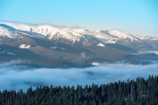 landscape view of winter ukraine carpathian mountains bukovel - Zdjęcie, obraz
