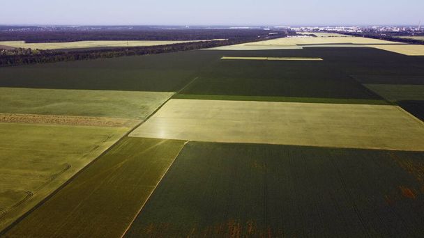 Avión teledirigido aéreo vista vuelo sobre diferentes campos agrícolas sembrados - Foto, Imagen