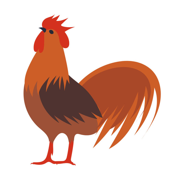 rooster, flat design on white background, isolated, vector - Vector, Image