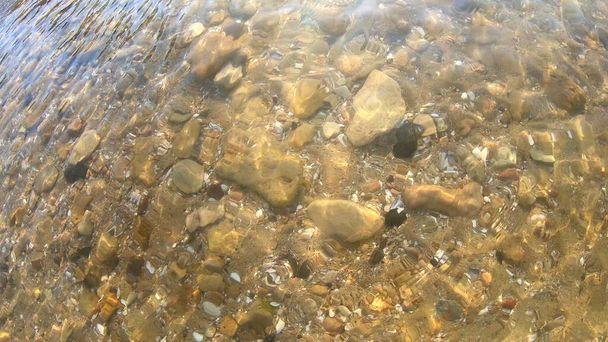 Fondo fondo amarillo arenoso con piedras rocas y conchas marinas. - Foto, Imagen
