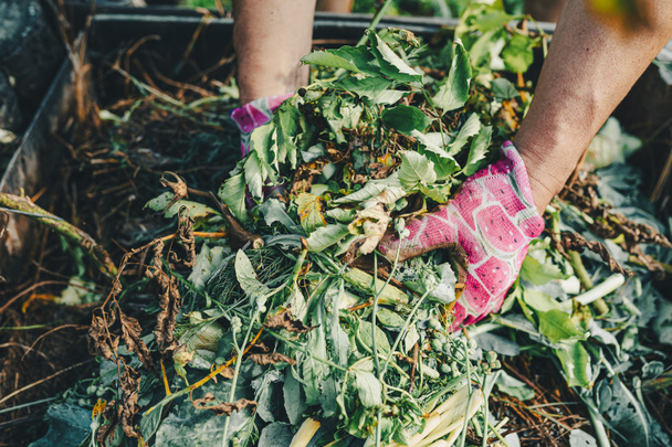 Tuinman 's handen in tuinieren handschoenen sorteren door compost hoop met humus, in de achtertuin. Recycling van natuurlijk afval van producten in composthoop om de vruchtbaarheid van de bodem te verbeteren. Verwerking van landbouwafval tot compost - Foto, afbeelding