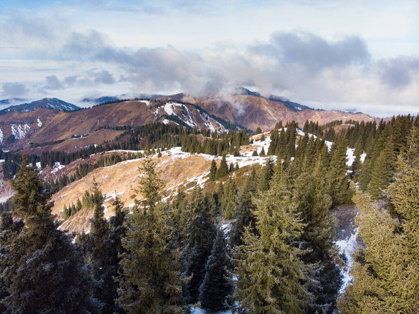 Χειμώνας στα βουνά. Τα βουνά καλύπτουν τα σύννεφα. Οι πλαγιές είναι καλυμμένες με κωνοφόρα δέντρα - Φωτογραφία, εικόνα