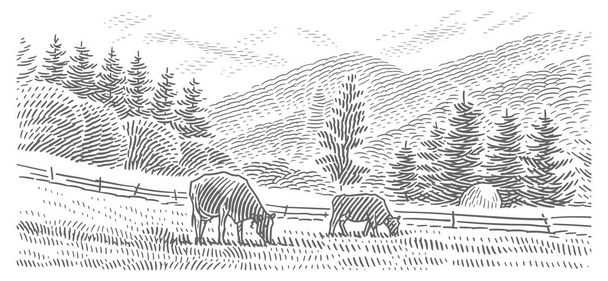 山の風景ベクトルライン彫刻スタイルのイラストで牛の放牧。ベクトル.  - ベクター画像
